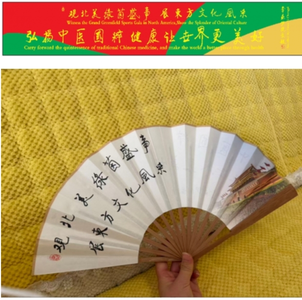 world cup 2026_李乘伊中医文化大使_世界杯中医文化交流