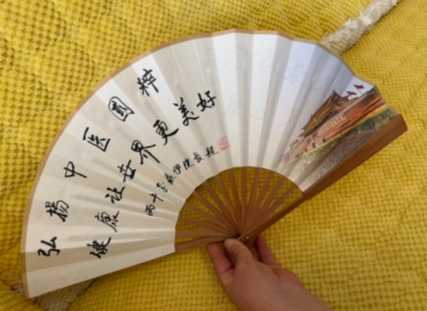 李乘伊中医文化大使_世界杯中医文化交流_world cup 2026