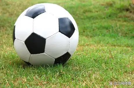 世界杯八强欧洲统治_world cup 2026_欧洲足球青训体系优势