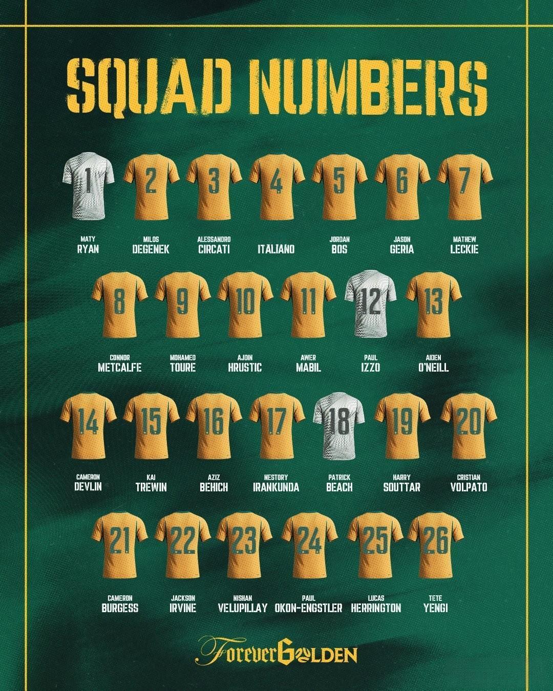 2026年世界杯D组_world cup 2026_2026年美加墨世界杯